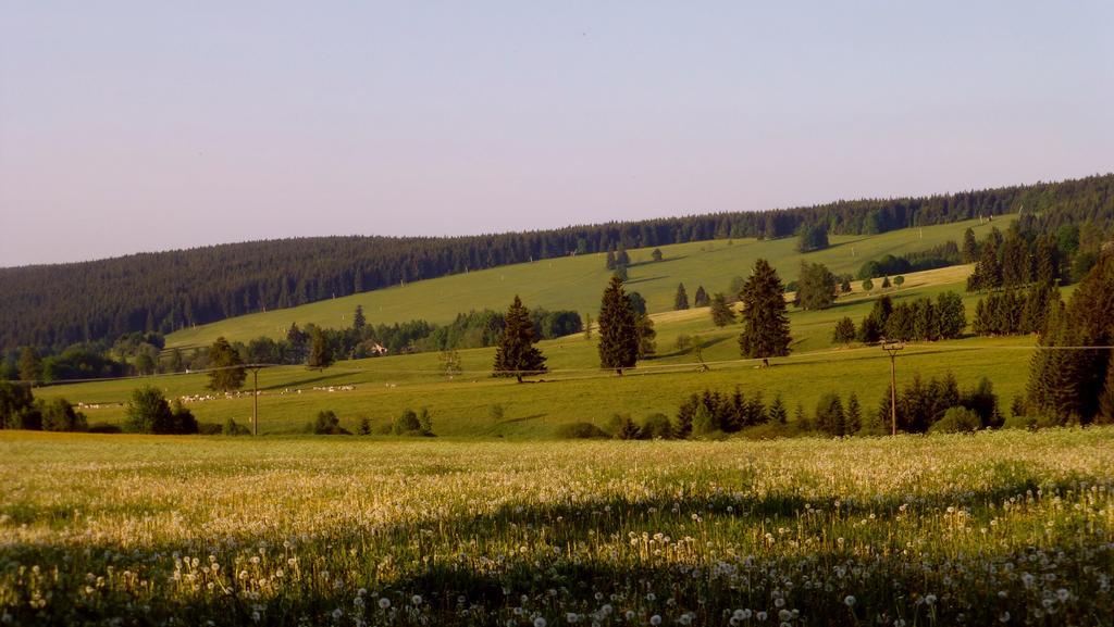 Ferienwohnung U Votapku Nove Hute Exterior foto