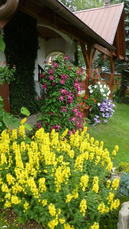 Ferienwohnung U Votapku Nove Hute Exterior foto