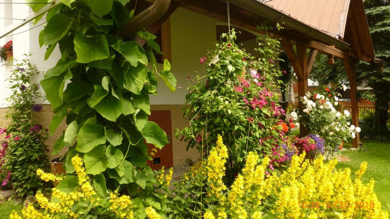 Ferienwohnung U Votapku Nove Hute Exterior foto